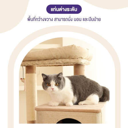 คอนโดแมว Catry รุ่น Cat Tree Yara สีเทา_4